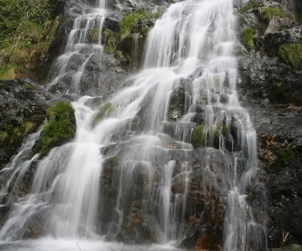 בית חווה Casa Ribeira De Pera קסטניירה דה פרה